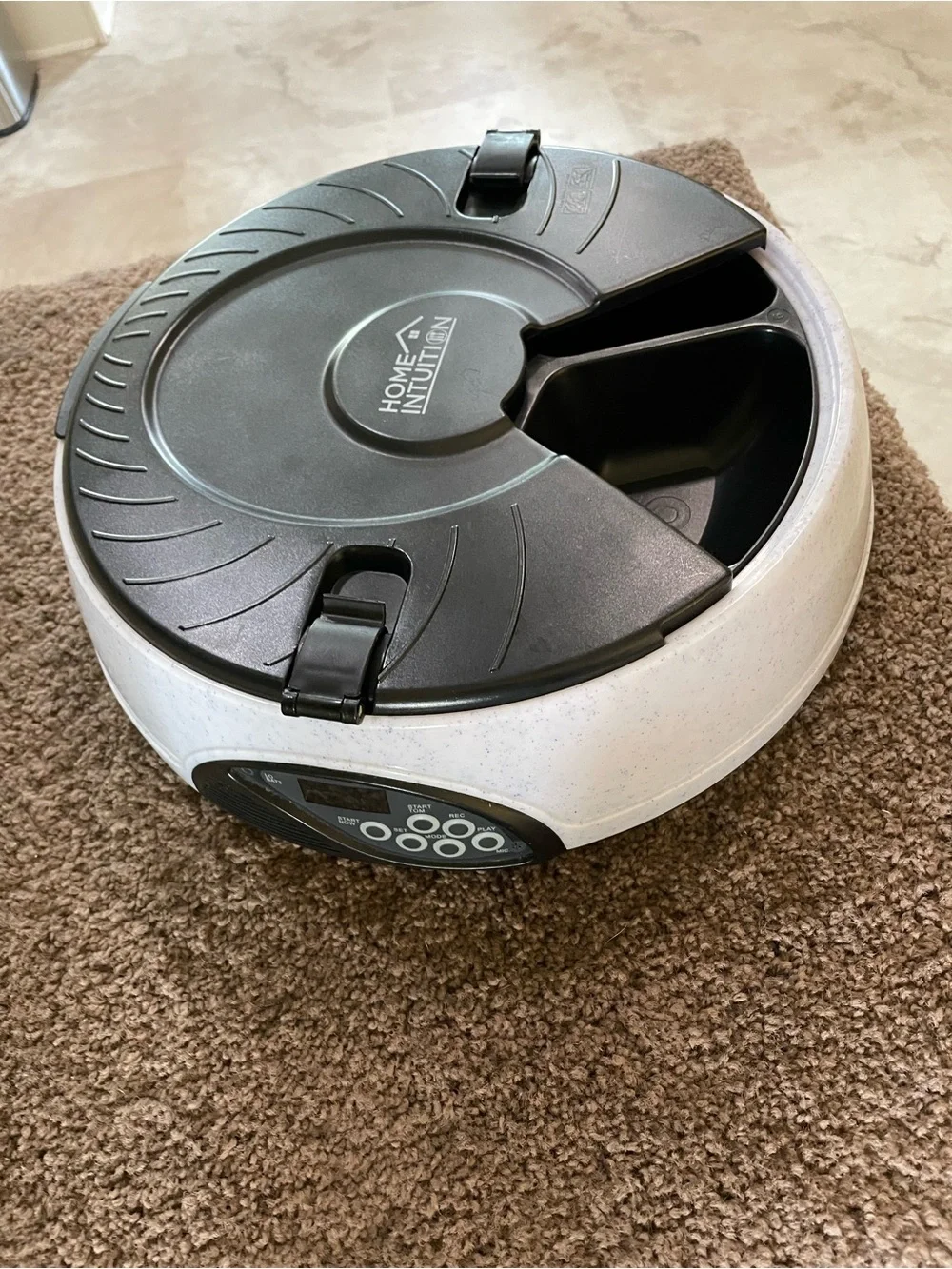 White & Black cat feeder